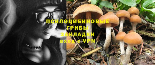 дмт Беломорск